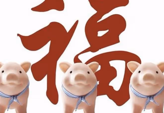 9月生肖豬的運勢轉折點
