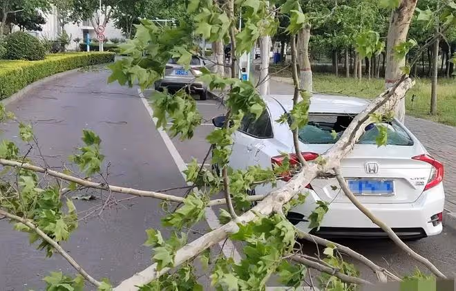 山東大變天!明天16-17日迎來罕見高溫天氣,大暴雨分布以下地區