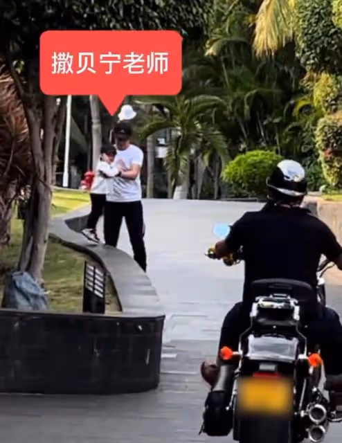 撒貝寧一家出遊被偶遇!嬌妻穿露臍裝大秀身材,他變奶爸照顧寶寶