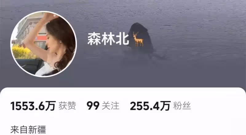 四婚四離!汪峰又撩上新妹子,疑似網紅森林北,網友:這就是藝術