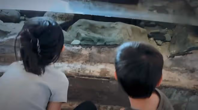 孫莉帶仨兒女出遊,多多穿露臍裝變小辣妹,多妹和弟弟共用一張臉