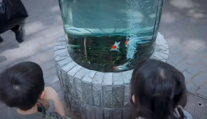 孫莉帶仨兒女出遊,多多穿露臍裝變小辣妹,多妹和弟弟共用一張臉