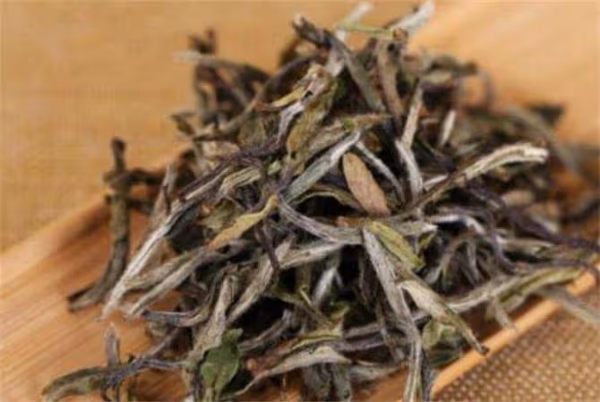 白茶是屬於什麼茶類?什麼是白茶?其實很多茶友還真不知道