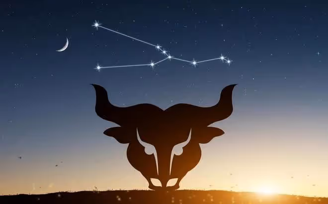 星座學:金牛座六月份的運勢!獨家詳細分析!