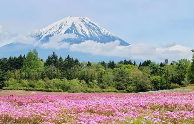 別再纏著我了!這幾大星座最討厭被人糾纏