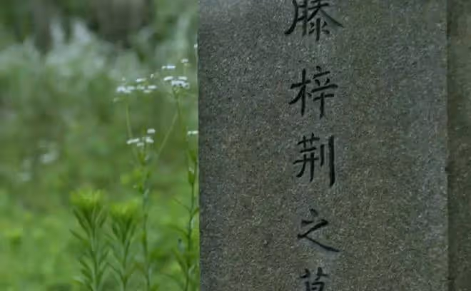 王陽的後勁真大,《慶餘年2》全員回歸,再看到他依然讓人淚目