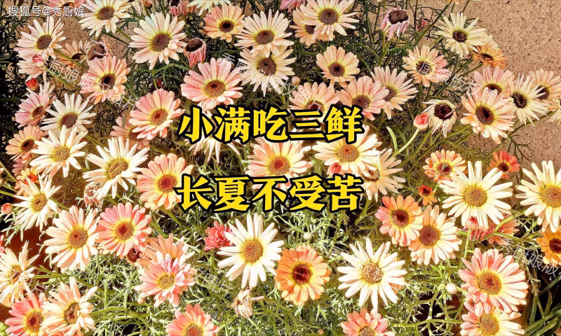 5月20日小滿,老人說「小滿吃三鮮,長夏不受苦」,這3鮮要懂吃!