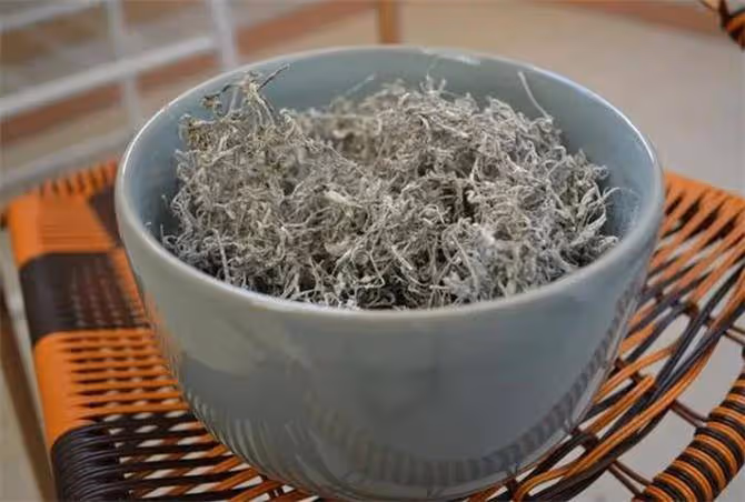 哪裡產的莓茶正宗?黃酮之王說的是張家界莓茶嗎?