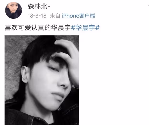 森林北舊照曝光，與前夫合影甜蜜，是華晨宇迷妹，與汪峰雙雙沉默