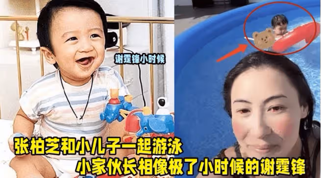 38歲張柏芝被曝在醫院產第三胎,謝霆鋒3字回應,謝賢13字回應!