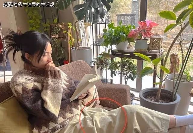 李亞鵬拖欠工資衝上熱搜,海哈金喜住別墅炫富,私密聊天記錄曝光