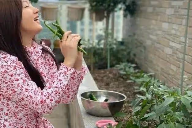 楊鈺瑩終究是老了,在美顏下看似年輕,但身材卻瞞不過大家的眼睛