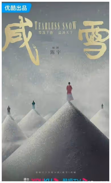 《咸雪》能否延續風吹半夏？趙麗穎再挑大樑，陳宇曹盾聯手打造
