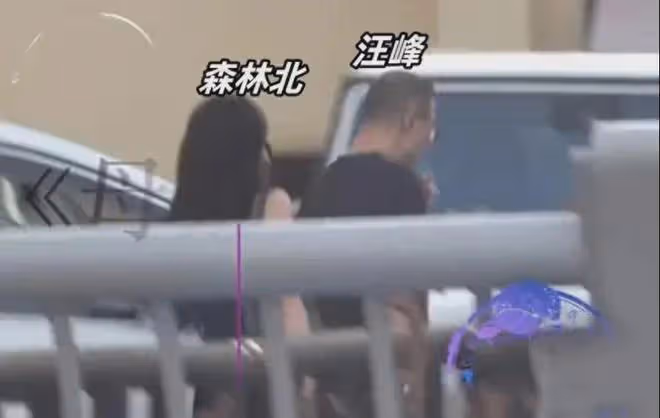 森林北大方回應參加相親節目,已跟汪峰見家長,跨年過夜合照曝光