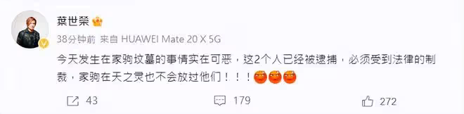 好過分!男子手拿鐵錘狂砸黃家駒墓碑,還在現場唱《海闊天空》