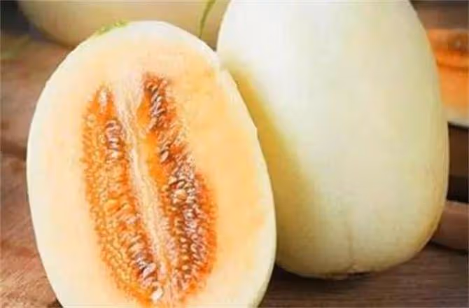 甜瓜是熱性還是涼性的?甜瓜的品種有哪些?