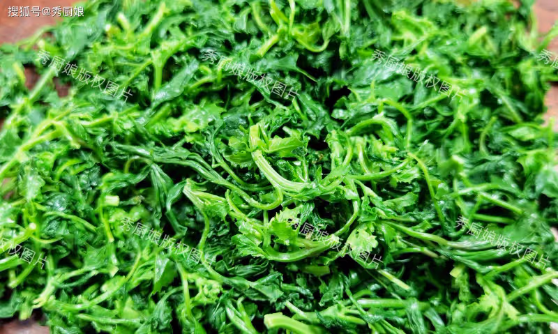 5月,遇到這菜抓緊吃,全身是寶,卻常被人「嫌棄」,現在正當季