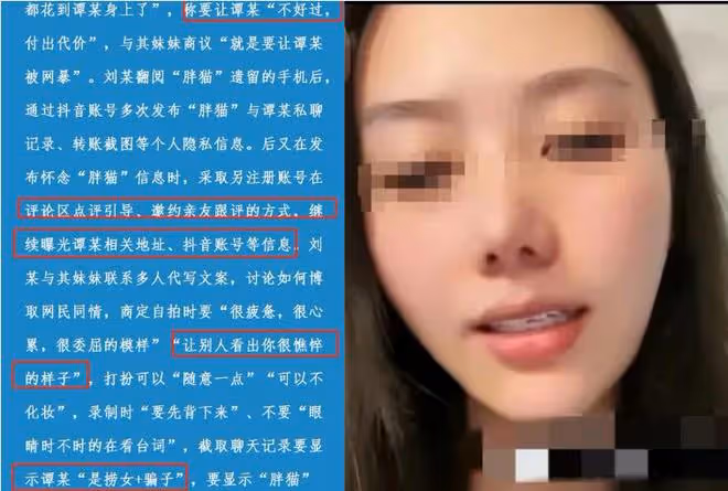 胖貓事件大反轉!譚竹是被冤枉,三個關鍵得以澄清,人民日報點評