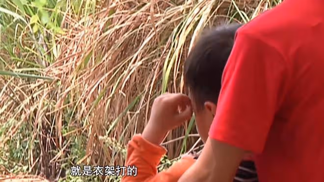 離異女子喜歡出去玩,被大叔扇巴掌,四歲的兒子也遭殃:我壓力大