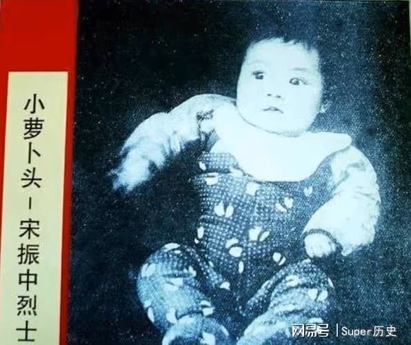 1949年,徐林俠哭著對特務說:放了小蘿蔔頭吧,就讓他討飯去吧