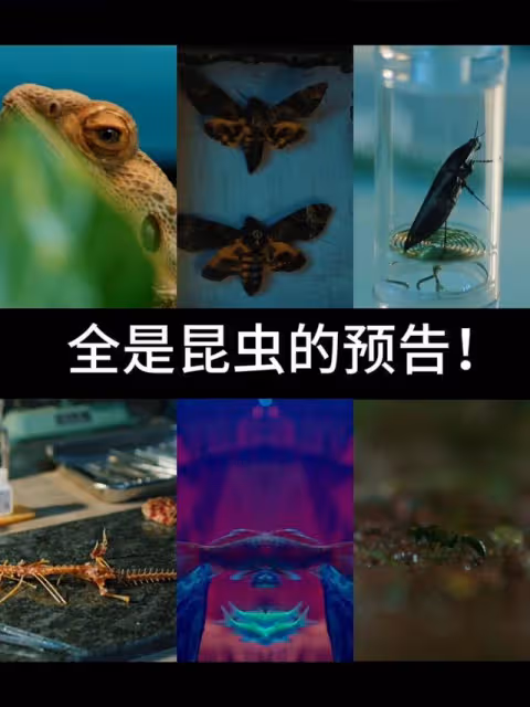 優酷明晚正式開播!全年最期待的懸疑劇它來了,觀眾苦等三年之久