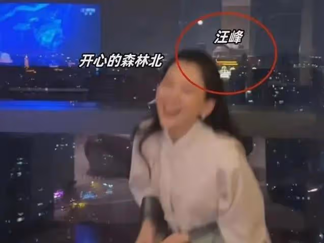 ​汪峰官宣戀情，贊森林北正直善良，講述戀愛經過，否認婚內出軌