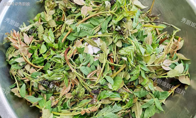 5月,遇到使勁吃,很多人只吃種子,其實葉子才是寶,不懂吃真虧