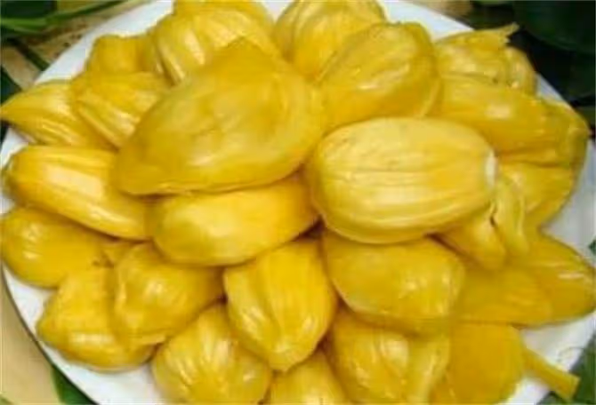 菠蘿蜜可以冷凍保存嗎?冷凍後的菠蘿蜜口感怎麼樣?