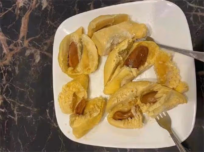 榴槤籽可以吃嗎?榴槤籽煮熟了吃是什麼味道呢?