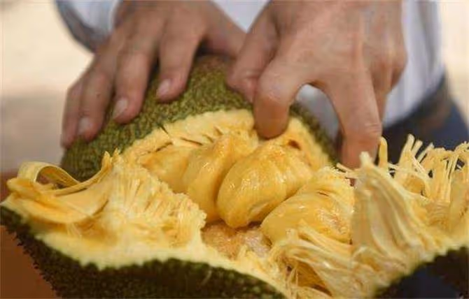 解鎖菠蘿蜜的正確剝法,沉浸式剝水果無法自拔