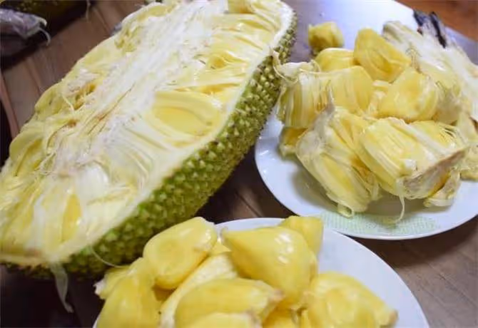 解鎖菠蘿蜜的正確剝法,沉浸式剝水果無法自拔