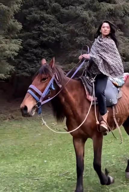 森林北連夜刪除騎馬動態，汪峰公開戀情後，她遭到各種輿論非議