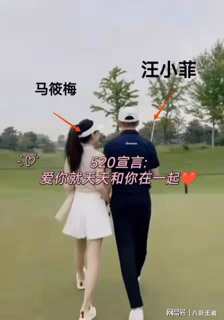 奧斯卡影后大S520不出庭!開庭前暈倒緊急就醫,成全汪小菲馬筱梅