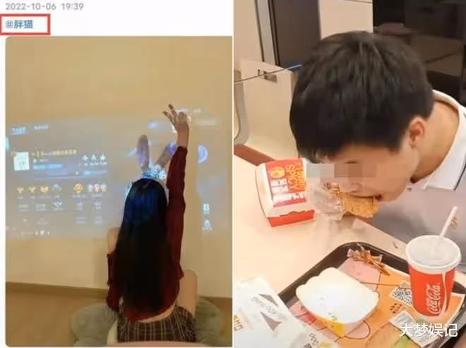 拍片蹭胖貓事件被真相打臉！網友出征趙櫻子逼道歉：吃人血饅頭