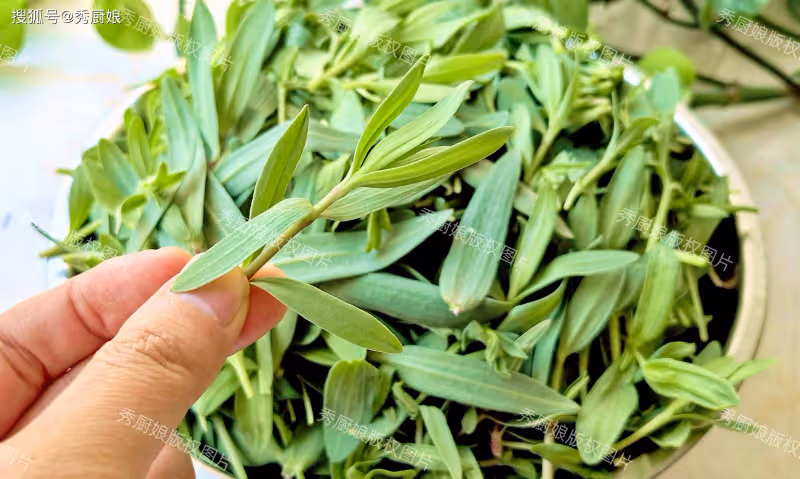端午前,韭菜芹菜靠邊站!抓緊吃「5月第一鮮」,包餃子吃太香了