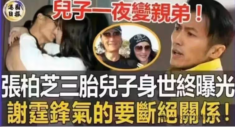 厚臉皮!張柏芝主動打電話給謝霆鋒求復合,謝霆鋒的回答讓王菲怒了!