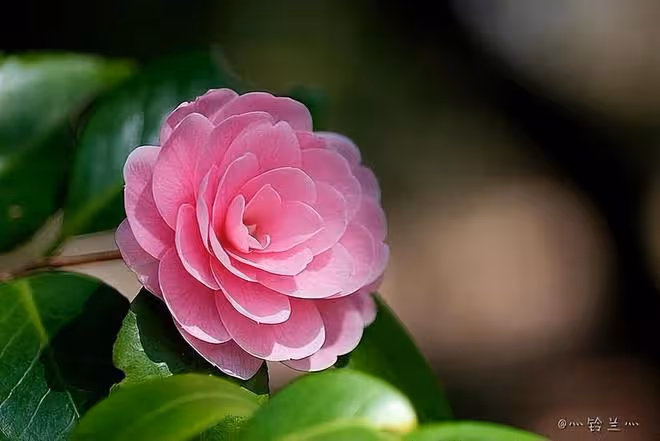 60歲阿姨相親時坦言:只有一個條件,答應了,當天就可以在一起