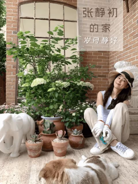張靜初無愛人獨居住豪宅,守著一屋子破爛,就想做個無用的人!