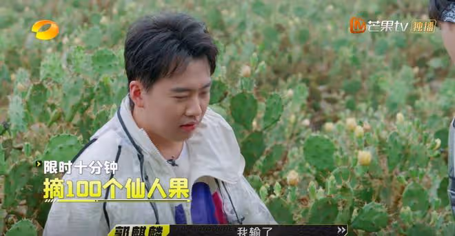 1期節目毛不易2次潑冷水,《我們仨》口碑崩盤,越來越難看