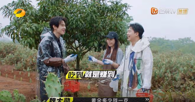 1期節目毛不易2次潑冷水,《我們仨》口碑崩盤,越來越難看