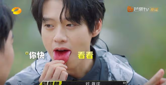 1期節目毛不易2次潑冷水,《我們仨》口碑崩盤,越來越難看