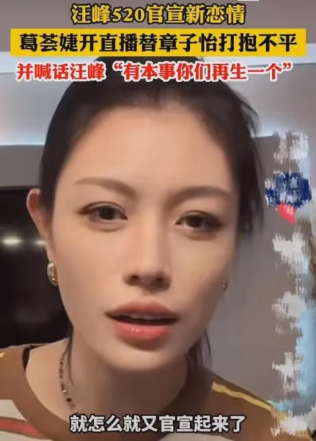 葛薈婕接連炮轟汪峰：敢不敢再生一個？森林北一夜不睡發文澄清！