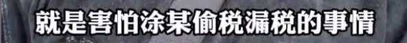 主持人塗磊被爆偷稅漏稅,實控公司被罰177萬,網友要求封殺