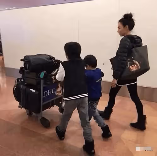 王菲怒了！張柏芝主動打電話給謝霆鋒求復合，謝霆鋒的回答太真實了！