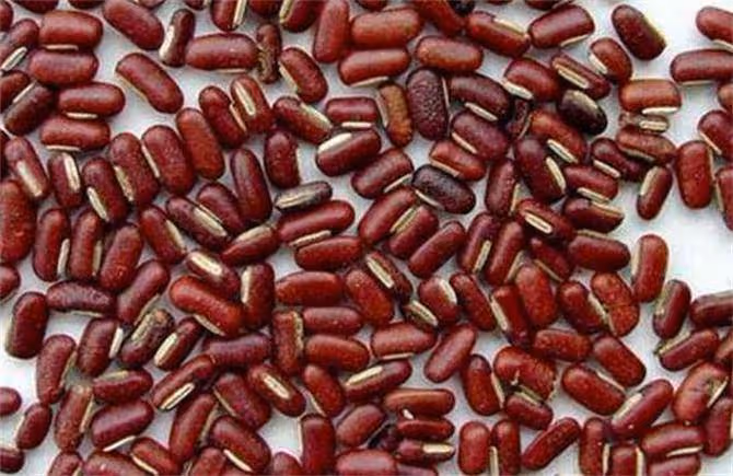 赤小豆和紅豆到底有何區別?教你如何分辨紅豆和赤小豆