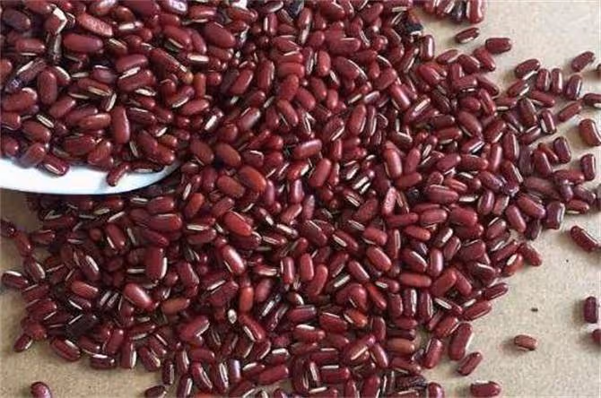 赤小豆和紅豆到底有何區別?教你如何分辨紅豆和赤小豆