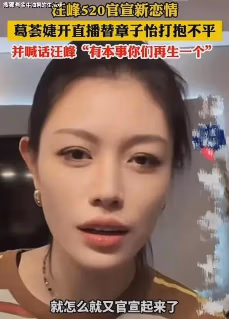 葛薈婕為章子怡打抱不平,喊話汪峰森林北:有本事你們再生一個