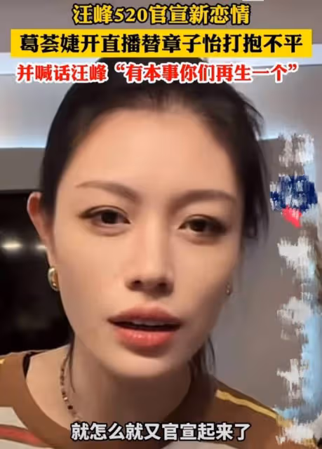 四個孩子三個媽，葛薈婕喊話汪峰有本事再生一個，森林北回應亮了