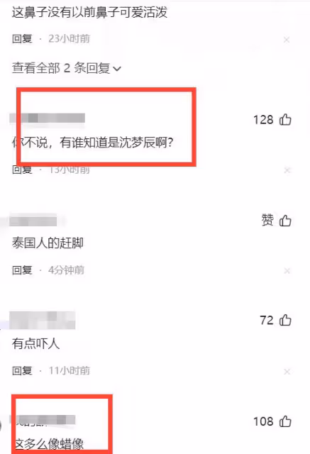 沈夢辰這是把鼻子捏上去了嗎？網友紛紛吐槽像泰國人