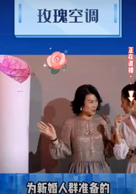 董明珠「玫瑰空調」遭網友吐槽：王自如說這來自董小姐的內褲靈感